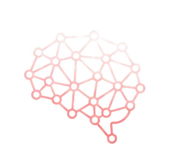 Brain network