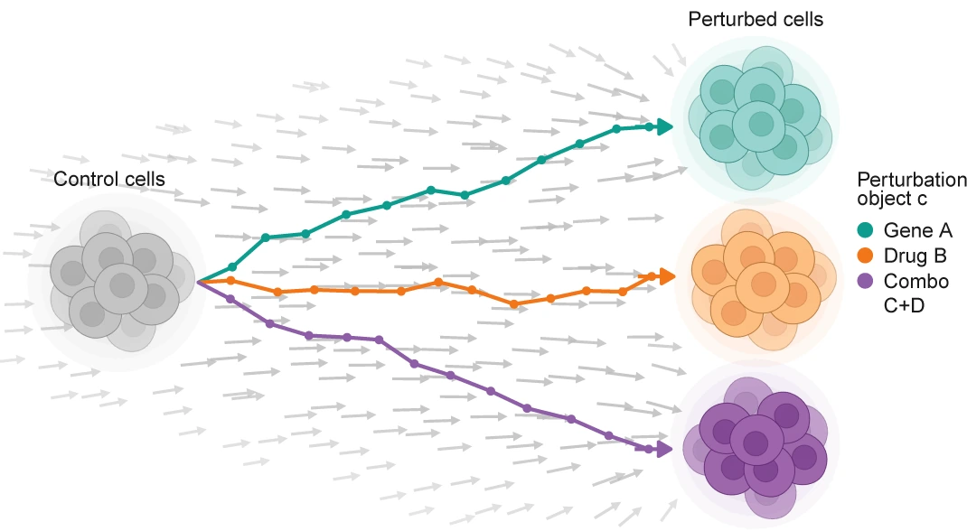 Figure from: AnnFlux: object-conditioned neural stochastic differential equations for single-cell perturbation dynamics